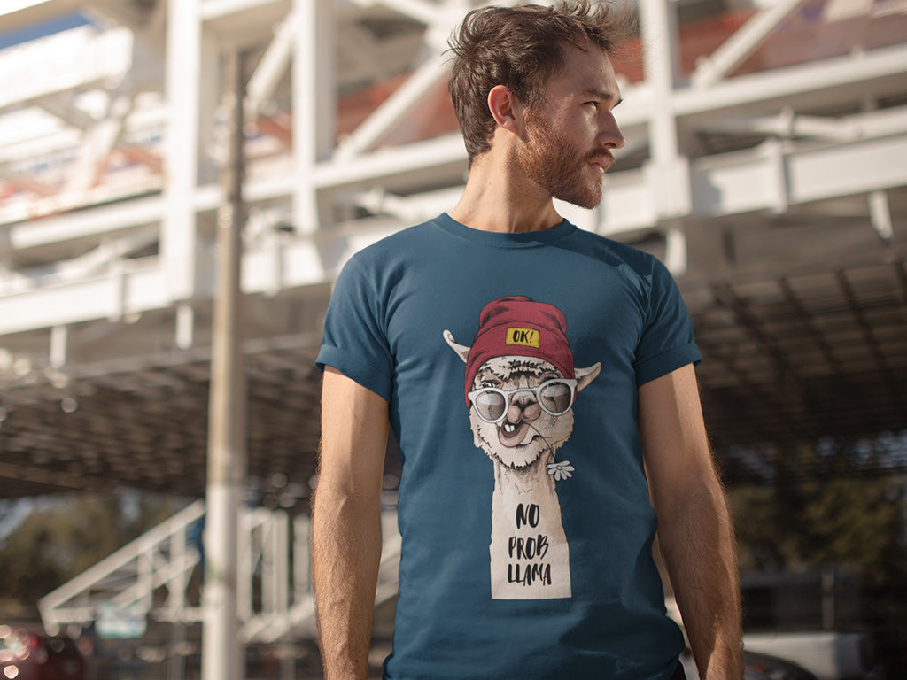 Men's Cotton Tshirt - NO PROBLEM