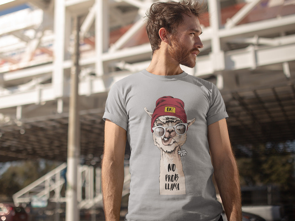 Men's Cotton Tshirt - NO PROBLEM