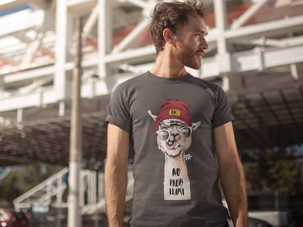 Men's Cotton Tshirt - NO PROBLEM