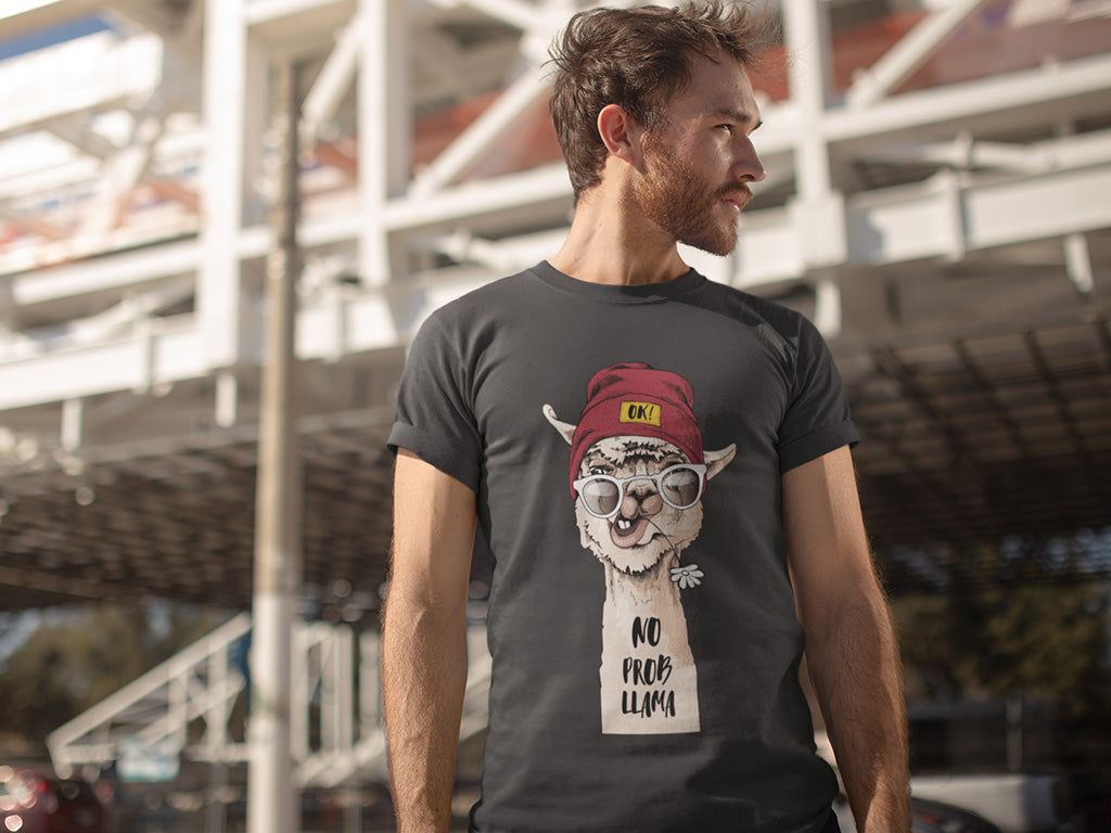 Men's Cotton Tshirt - NO PROBLEM