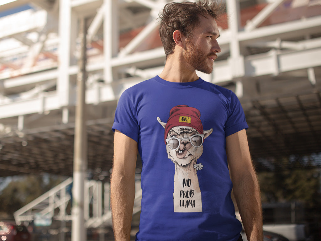 Men's Cotton Tshirt - NO PROBLEM